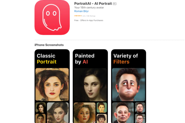 What Is Portrait Ai?